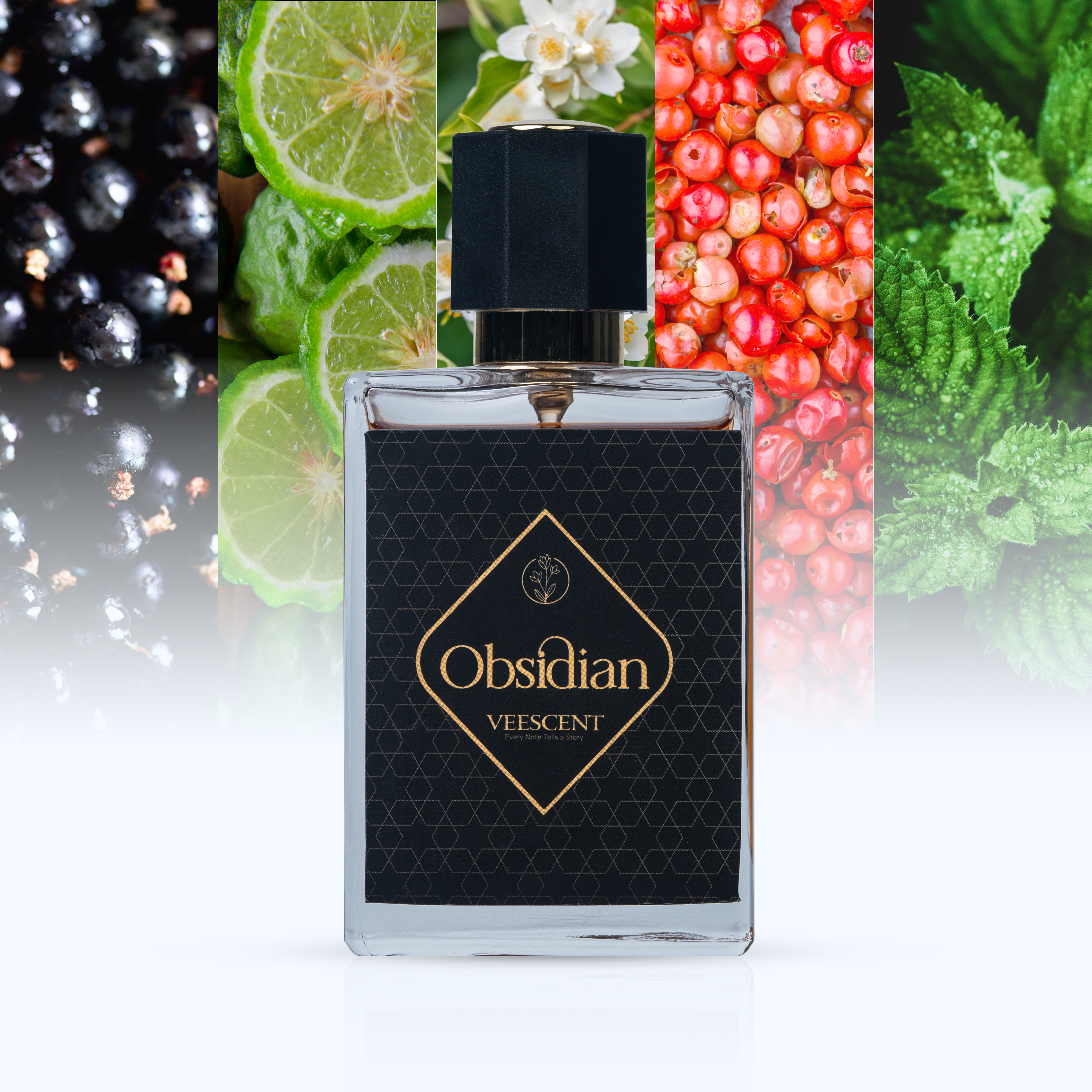 OBSIDIAN