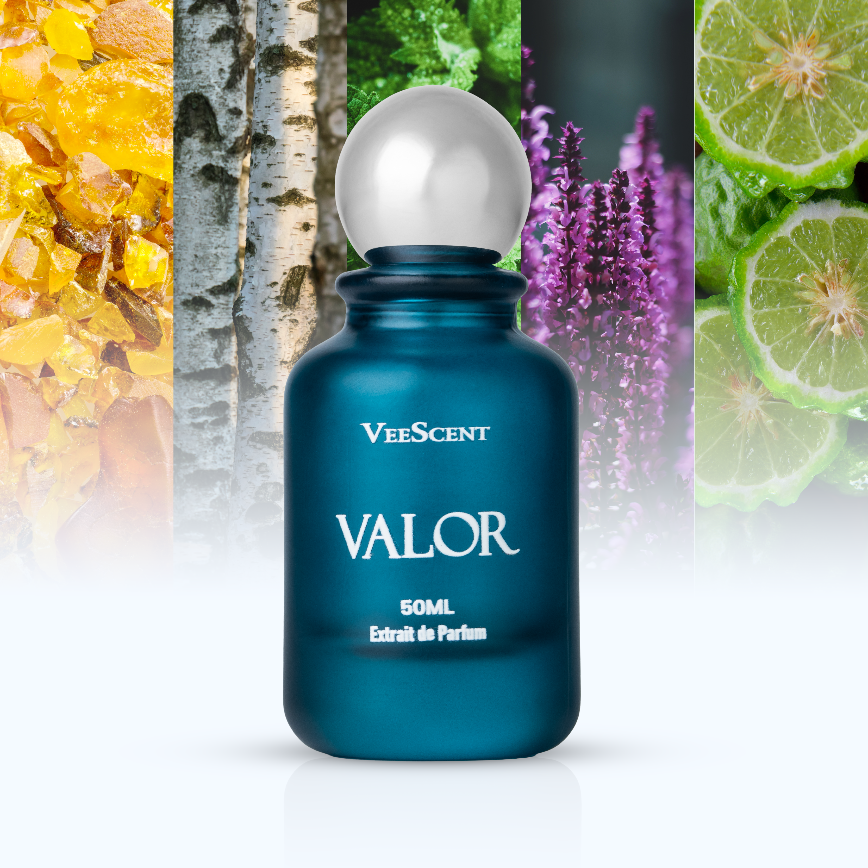 VALOR